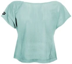 Tee-Shirt Arena W Gym S/S Crop Frozen