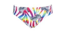 Maillot De Bain Arena Homme Crazy Zebras Brief Multicolor -Natation Équipement Magasin 002908 850 m crazy zebras brief 005 f s