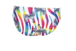 Maillot De Bain Arena Homme Crazy Zebras Brief Multicolor -Natation Équipement Magasin 002908 850 m crazy zebras brief 006 b s